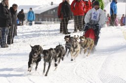 Lenk 2012 SM